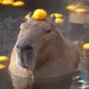 capybarpolish