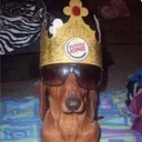 mr.uppix