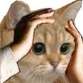 sgkieran