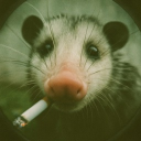 avatar 𝗡𝗼𝗼𝗱𝗹𝗲