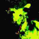 avatar Shashahshahsha