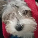 Аватар prokhor0050