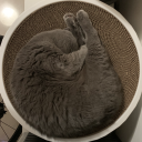 yin180623177's Avatar