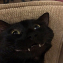 arknath#7823's avatar