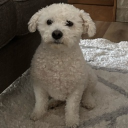 luxxca.#4771's avatar