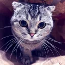 katlyan