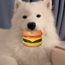 avatar Gilda's Bitch