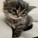 Аватар kioziii_sqd