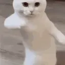 bananek_yt