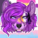 alheya_knight