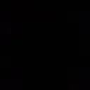 hol___