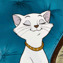 avatar ↯𝔩𝔦𝔶𝔞𝔥↯