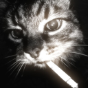 xblazex_