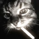 xblazex_