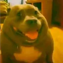 nekitosik1761 avatar