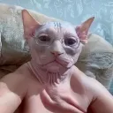 Аватар bubbledragon1941