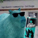 avatar Капібара with Lit Energy™