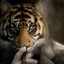 avatar Компания Майкрософт