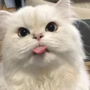 dontyoudarewritemeanything