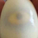 avatar Зародыш Деспотии