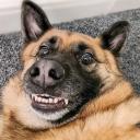 https://cdn.discordapp.com/avatars/1076940177341165609/ea0acb77d76403dda1ffbdc190c1f2df.jpg?size=128