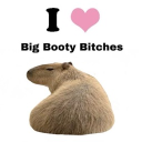 remyboy_