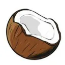 mr.coconut5376