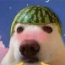 infernerner