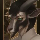 zakaridus