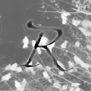 ryxstal_