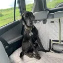 toastythesenuts69