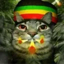 lolzzz8805 avatar