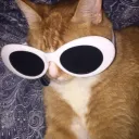 kernelgg