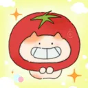 cortisjuhoon
