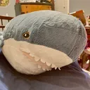 .sharkfreak