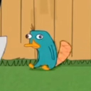 avatar dm me on @z0xy