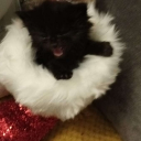 lennon0624#8191's avatar