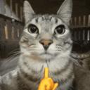https://cdn.discordapp.com/avatars/1078089804668997642/a_815e6e73b4042f2630f3e72a450571d9.jpg?size=128