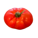 tato7452