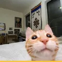 geroinowner