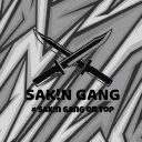 sakin_15