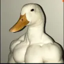 kratozz