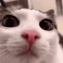 tomskky