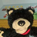 bearsock123