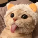 coolcat125
