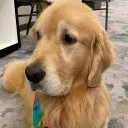 clarence_
