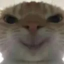 homework_very_annoying avatar