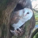 hoo0501