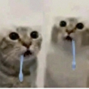 avatar Nekomancer
