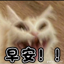 王葛葛